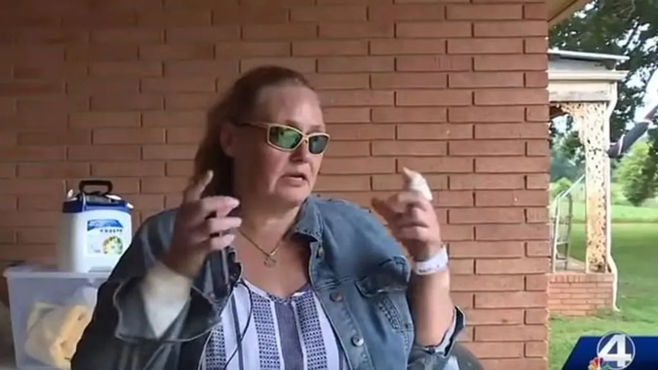 Puszta kézzel ölte meg a nagymama a rá támadó veszett hiúzt