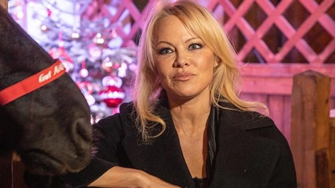 „Pamela Anderson elcsábította a páromat és szétszakította a családunkat” – állítja a szőke bombázó új férjének exe